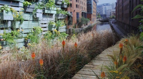 roof gardens and green space in urban environments