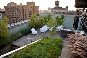 Roof-garden