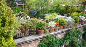 Roof-garden-Ideas